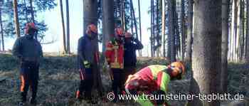 Traunstein: Grundausbildung an der Kettensäge – Lehrgangsauftakt der Feuerwehren - Traunsteiner Tagblatt