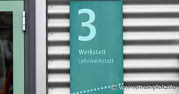 Forscher: Pandemie wirkt sich auf Berufsausbildung aus - Wirtschaft - Rheinpfalz.de