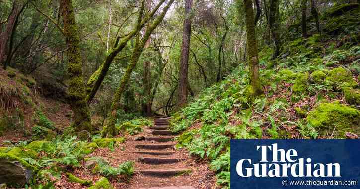 Yoga, nature walks: Salesforce opens luxe ‘ranch’ to help remote workers connect