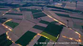 Bürgerveranstaltung in Sulz - Kritische Fragen zum Regionalen Gewerbegebiet werden nicht weniger - Schwarzwälder Bote