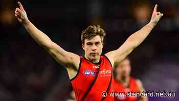 Cobden export Zach Merrett named Essendon vice-captain for the 2022 AFL season - Warrnambool Standard