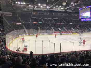 Rob Vanstone: Bustling Brandt Centre was a long-awaited tonic - Sarnia and Lambton County This Week