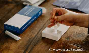 Gratis zelftests af te halen bij gemeentehuis - Hasselt Actueel