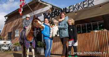 Boodschappen halen én koeien aaien | Breda | bndestem.nl - BN DeStem