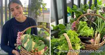 200 Plants in 2000 Sqft: Gardener Grows all Veggies for the Household on Her Terrace - The Better India