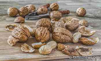 Come mangiare le Noci per eliminare problemi di colesterolo e glicemia? Meraviglioso ecco l’unico consiglio - Cefalunews.net