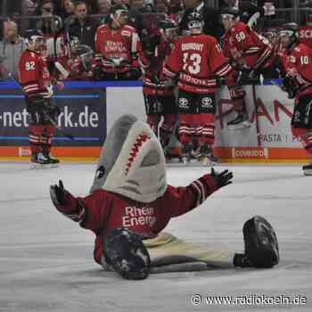 KEC startet Fan-Aktion beim Heimspiel gegen Iserlohn - radiokoeln.de