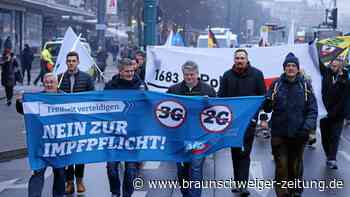 Corona-Proteste: Droht der AfD jetzt ein Machtverlust?