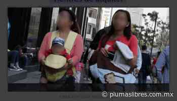 Colectivas feministas trabajan en reforma par prohibir “vientres de alquiler” - plumas libres