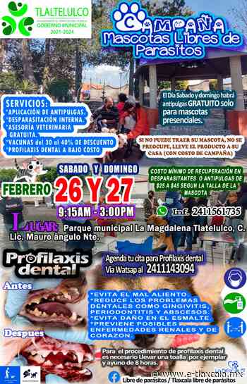 Realizarán campaña Mascotas Libres de Parásitos en Tlaltelulco | e-consulta.com 2022 - e-Tlaxcala Periódico Digital de Tlaxcala