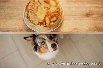 How to make a dog-friendly Ocado pancake – get the recipe