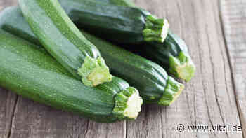 3 Gründe, warum Sie Zucchini essen sollten - Vital
