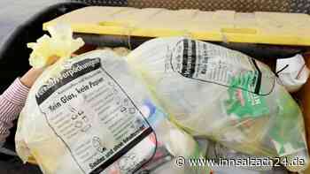 Nächstes Jahr erneut Abstimmung: Wie sehr wird die Gelbe Tonne gewünscht?