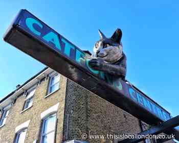 Construction is underway on new lifts at Catford station