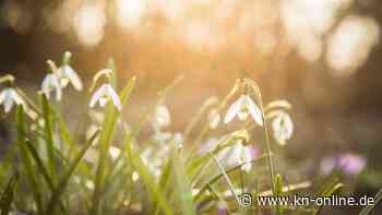 Vorfrühlingshafte Stimmung mit Wolken, Wind, Schnee und Sonne
