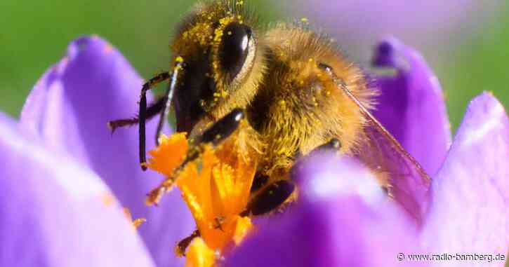 Bunter Wetter-Mix mit Wolken, Wind und Sonne