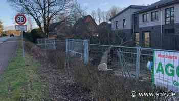 Brekendorf: Markttreff-Bau: Gefällte Eichen werden durch neue Bäume ersetzt | shz.de - shz.de