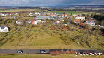 Kontroverse in Vellberg: Geplanter Bau eines Supermarkts an der Haller Straße: Muss die Streuobstwiese weichen? - SWP