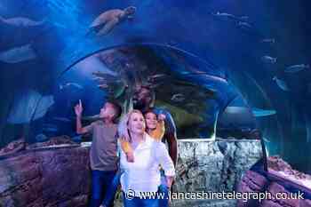 Merlin Pass membership sale: Save on Blackpool Tower, SEA LIFE and Madame Tussauds trips