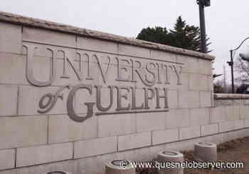 Vaccines, masks required at universities despite broader relaxing of restrictions - Quesnel - Cariboo Observer