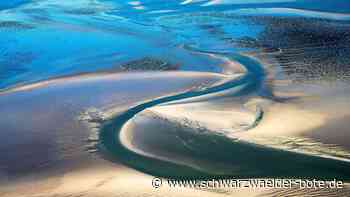Kreative Fotokunst: Nagolder Aufnahmen überzeugen die Landes-Jury