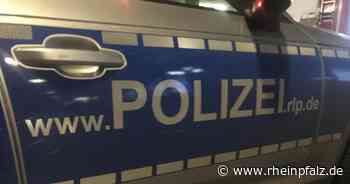 Zwei Einbrüche, hoher Sachschaden - Steinfeld - Rheinpfalz.de