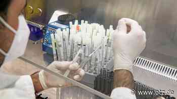 Knapp 300 neue Coronafälle in Jena