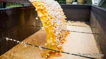 Ende der Salatsparte: Bei Homann in Dissen wurden 137 Tonnen Lebensmittel vernichtet - NOZ