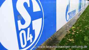 Schalke und der Gazprom-Vertrag: Viel Konfliktpotential