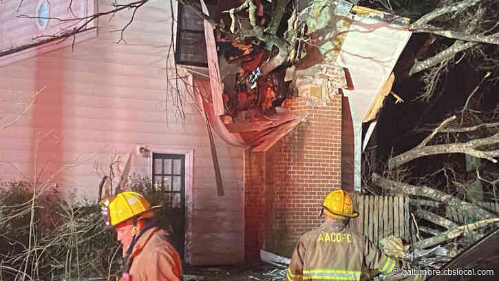 Woman Dies After Falling Tree Crashes Into Crofton Home