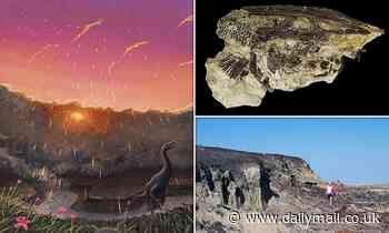 Asteroid that wiped out the dinosaurs 66 million years ago hit Earth during SPRING