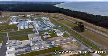 Months After Biden Refused to Sanction Russian Nord Stream 2 Pipeline, Germany Halts Its Certification