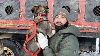 Educator brings dogsledding to southern Sask. in effort to share Indigenous culture