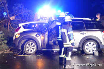 Baum stürzt auf Straße: Zwei Verletzte bei Unfall nahe Wehrheim im Taunus - TAG24