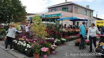 Montech. Vide-greniers et floralies : inscrivez-vous ! - ladepeche.fr