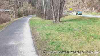 „Machbarkeitsstudie“ angepasst - Änderungen und Wünsche in Schramberger Bahnstrecken-Idee aufgenommen - Schwarzwälder Bote