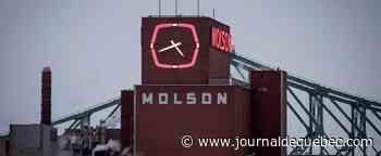 Un chiffre d’affaires record pour Molson Coors en 2021