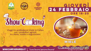 A Cuneo un viaggio dolcissimo fra i segreti del miele - www.ideawebtv.it - Quotidiano on line della provincia di Cuneo - IdeaWebTv