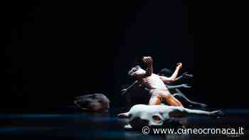 Si danza tra le opere d'arte in San Francesco a Cuneo: i video dal periodo di lockdown - Cuneocronaca.it