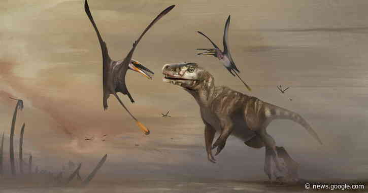 Fossil of 170-million-year-old flying reptile unearthed in Scotland is "largest of its kind ever discovered" - CBS News