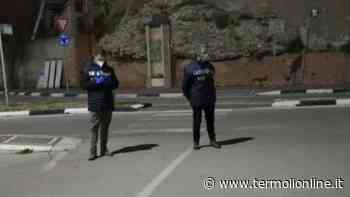 Controlli del Nas sulla filiera ittica, al setaccio il pescato venduto in banchina - Termoli Online