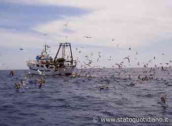 Termoli, gasolio raddoppiato e barche si fermano: una di Manfredonia - StatoQuotidiano.it