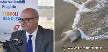 Plastica, a Termoli i pescatori diventano "spazzini del mare" grazie al progetto Sea Cleaners - TeleAmbiente TV
