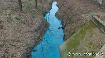 Prato, il fosso si colora di blu - LA NAZIONE