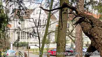 Wie ein Krimi Braunschweig und Hannover versöhnen soll