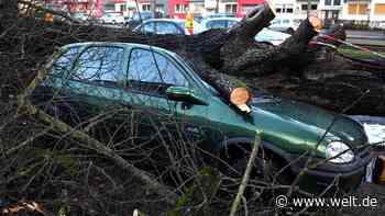 „Sturm hat einfach umgehauen, was nicht niet- und nagelfest war“