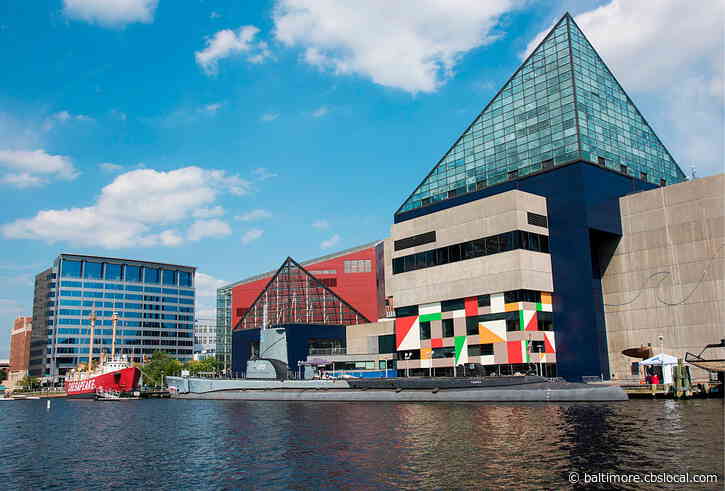 National Aquarium Will Drop Vaccination Requirement On Friday