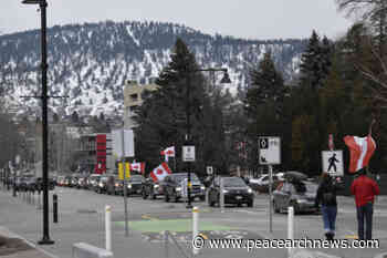 Journalist allegedly spat on at COVID protest along Osoyoos border sparks RCMP probe – Peace Arch News - Peace Arch News