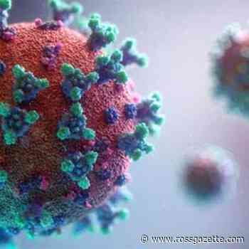 261 further coronavirus cases and one more death recorded in Herefordshire | rossgazette.com - Ross Gazette