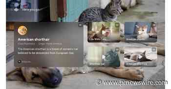 Neue Funktionen und Werbeaktionen: Genießen Sie den MWC 2022 mit Petal Search